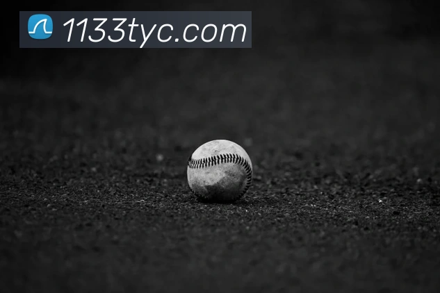 奖项证书
